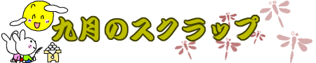 P̃XNbv