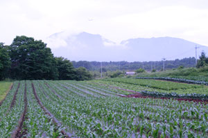嬬恋高原の簡易宿泊施設園