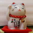 しあわせこいこいやってこい猫・灰とら